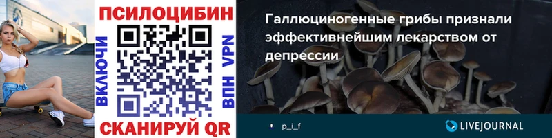 Купить закладки  Баймак  Псилоцибиновые грибы GOLDEN TEACHER 